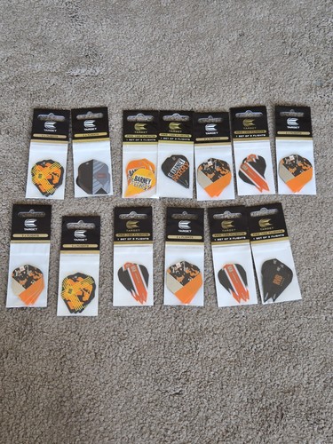 Target darts raymond van - raymond,