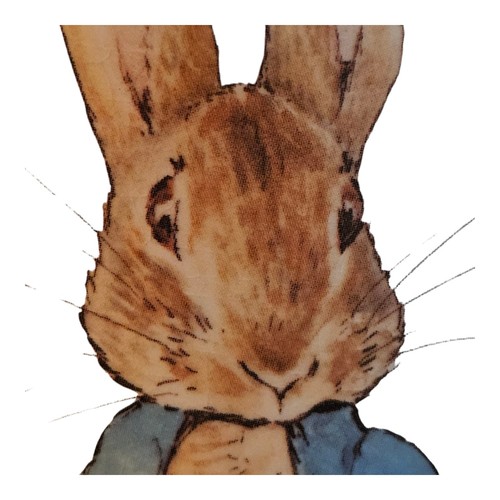 Beatrix potter peter - beatrix,