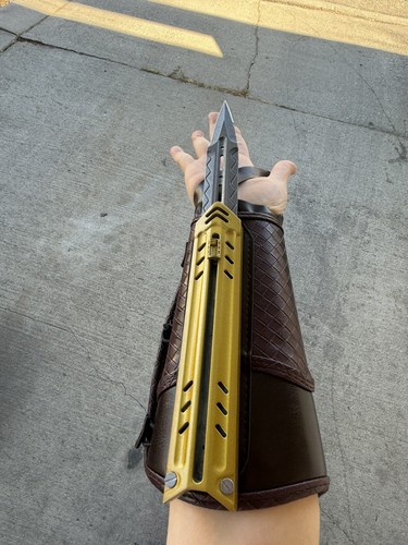 Assassin creed gold - assassin, hidden