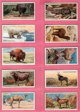 Players natural history - history, 1924