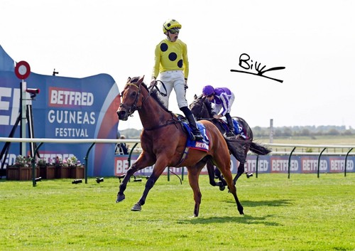 Photo bow echo winning - bow,