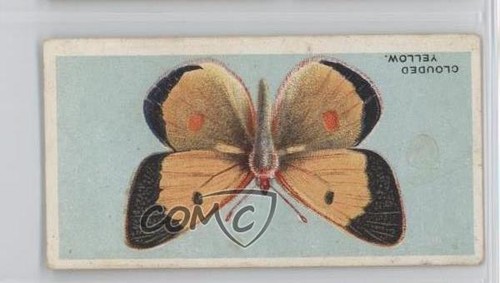 1927 bat british butterflies - 1927,