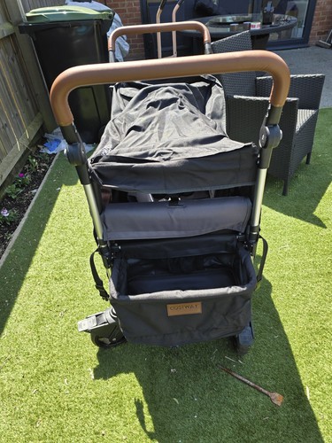 Push pull twin - twin, stroller