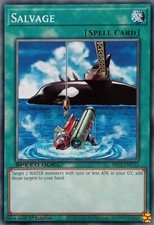 SBC1-ENC12 SALVAGE COMMON 1ST EDITION YuGiOh CARD