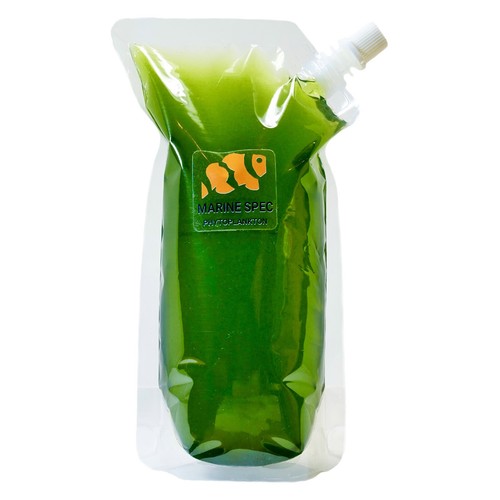 Live marine nannochloropsis - live,