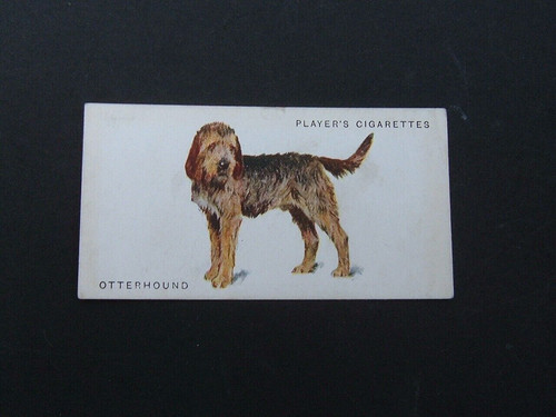 John player dogs full - player's, (full