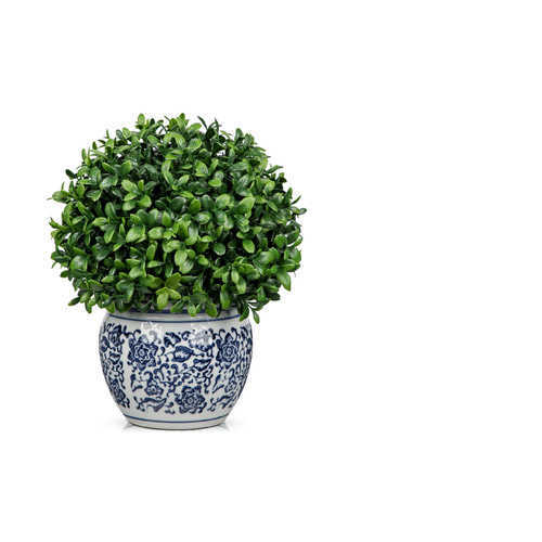 Dilatata artificial topiary - dilatata,