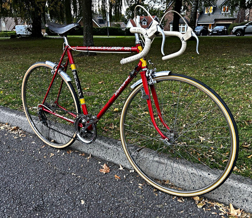 1975 team raleigh europa - 1975,