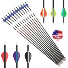 Carbon Arrows 31inch