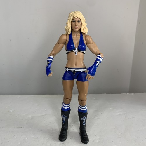 Wwe michelle mccool wrestling - wwe,