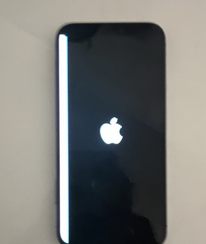 Apple iphone pro - apple, 12