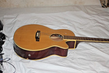 Epiphone PR-4E Acoustic
