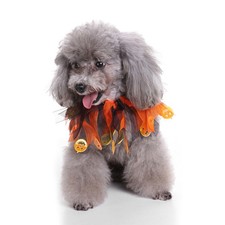  2Pcs Small Fancy Dog Collars