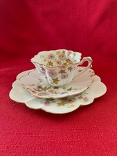 c 1896 Wileman / Foley daisy