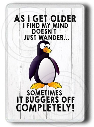Funny fridge magnet i get - funny,
