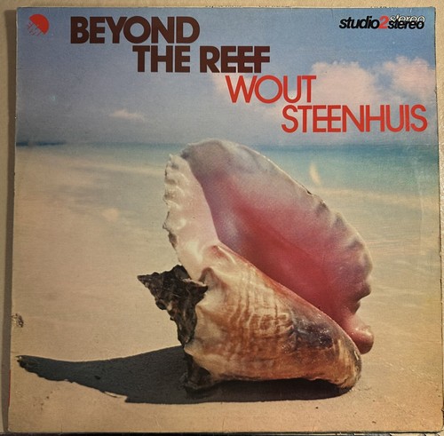 Wout steenhuis beyond the - wout,