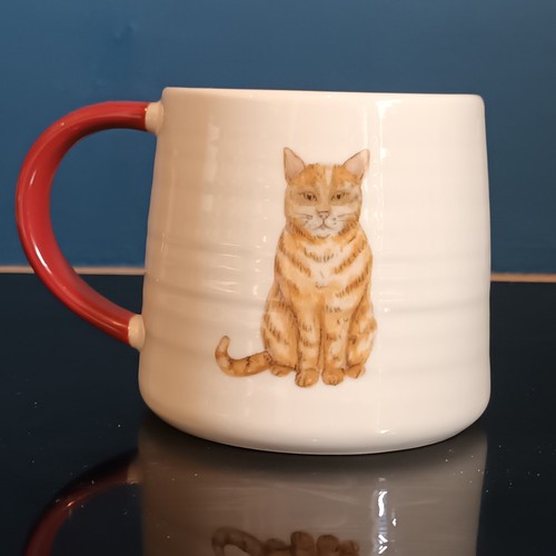 Marks spencer mug - marks, ginger
