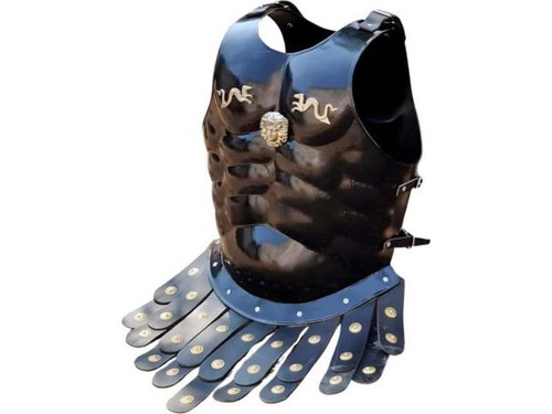 Functional medieval warrior - functional,