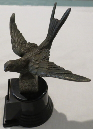 Swift swallow bird - swift, car