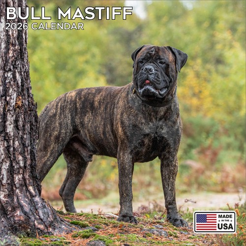 Bull mastiff calendar 2026 - 2026,