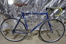 2001 Land Shark Road Shark