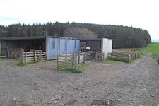 Photo 6x4 Sheep handling pens
