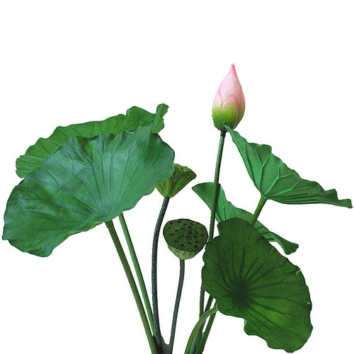 Warehouse leaves close one - leaves, to