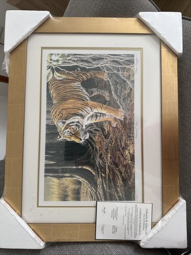 Stephen gayford banyan tiger - gayford, "banyan