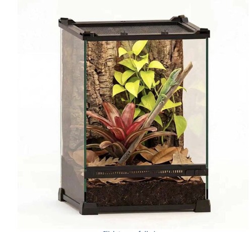 Neptonion x10 x14 - neptonion, mini