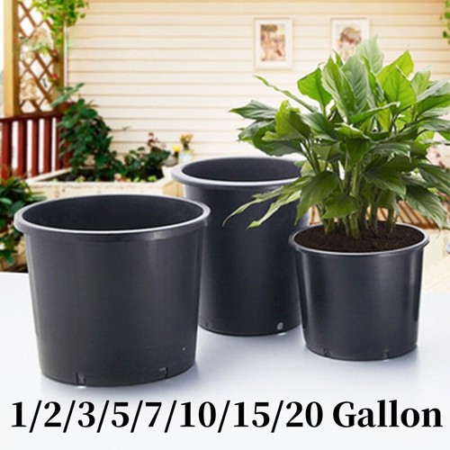 10 15 20 - 1/2/3/5/7/10/15/20, gallon