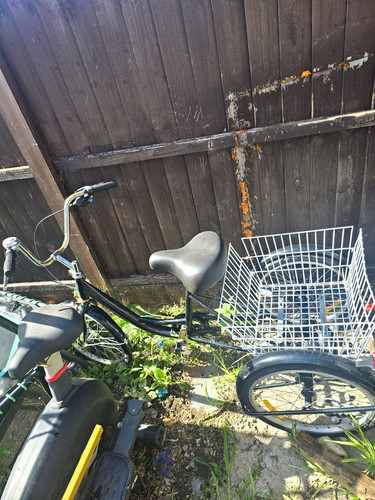 Adult black metal tricycle - adult,