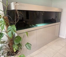 8ft ND Aquatics Aquarium/Fishtank (1000L) + Gloss Stand Full Setup