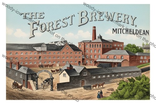 Col1598 forest brewery - -,
