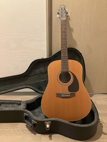 Seagull cedar acoustic - cedar,