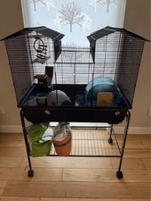 Very Large Small Animal Cage With A Load Of Toys, Accessories, Food And Bedding