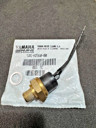 Genuine yamaha yp125e majesty - genuine,