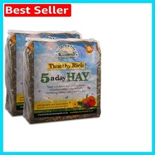 Timothy hay foraging - timothy,