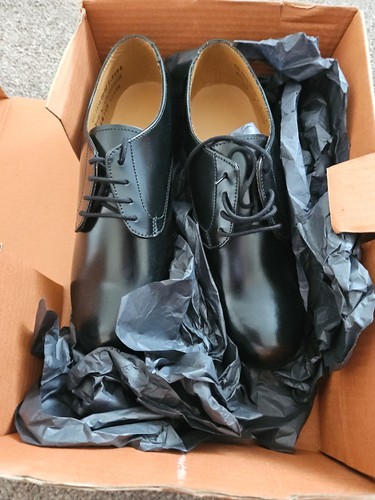 Parade shoes raf - cadet, 260l