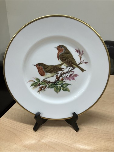 Coalport robin british birds - robin,