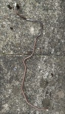 Genuine Power steering pipe For Ford 10 series Tractor. Agricultural Parts