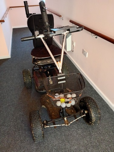 Electric golf buggy - buggy, single