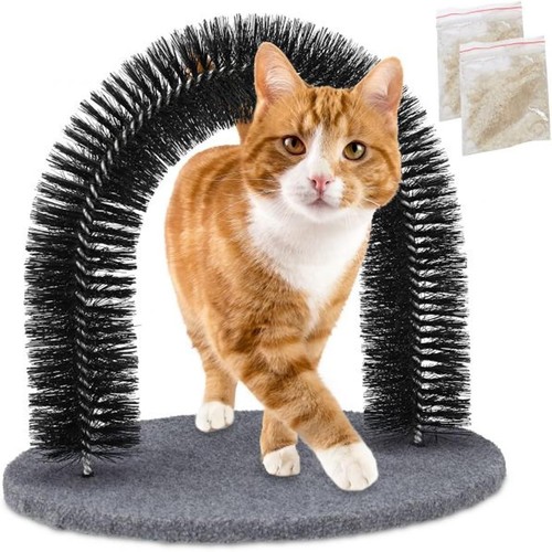Cat arch kitten - kitten, massaging