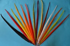 Cock centre pheasant tails - cock,