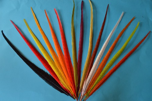 Cock centre pheasant tails - ,