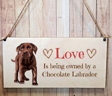 Second Ave Chocolate Labrador Dog Wooden Hanging Gift Rectangle Home Sign Plaque