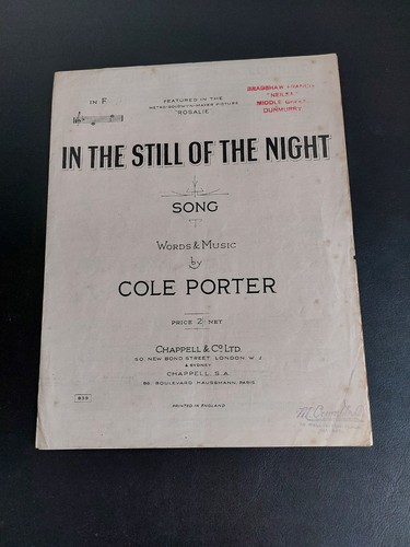 The still night - still,