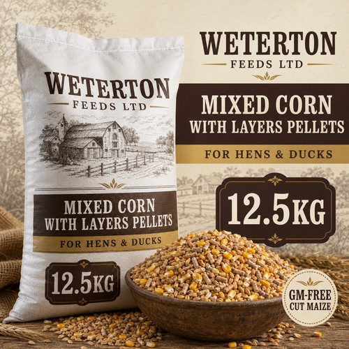 5kg mixed corn with layers - 12.5kg,