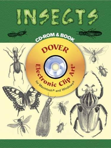 Insects rom and - cd-rom, book