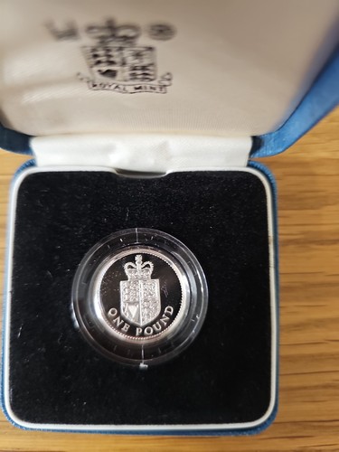 Royal mint 1989 - 1989, £1