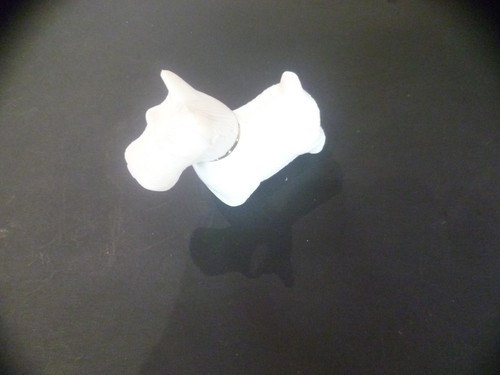Scottish terrier dog bottle - terrier,